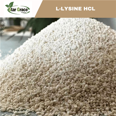 Grau de alimentação de lisina HCL